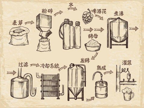 關(guān)于啤酒的知識(shí)，看這一文就夠了